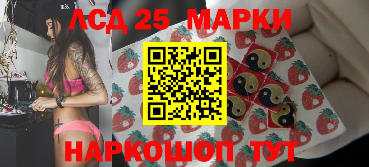 LSD-25 экстази кислота  ЛСД экстази кислота    зеркало  Вход с VPN  Новокубанск  Лсд 25 экстази 