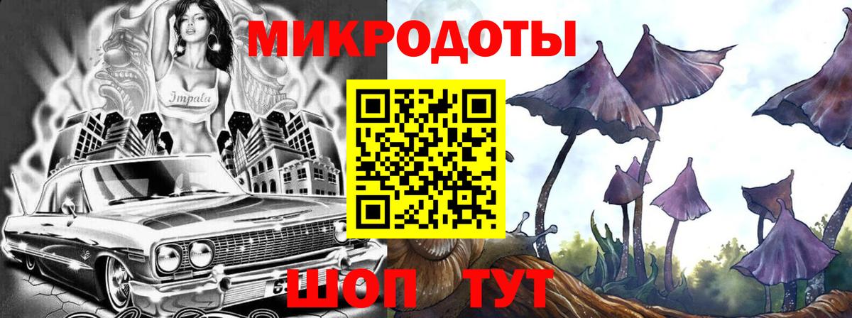 Новокубанск  Галлюциногенные грибы Cubensis  Вход с VPN 